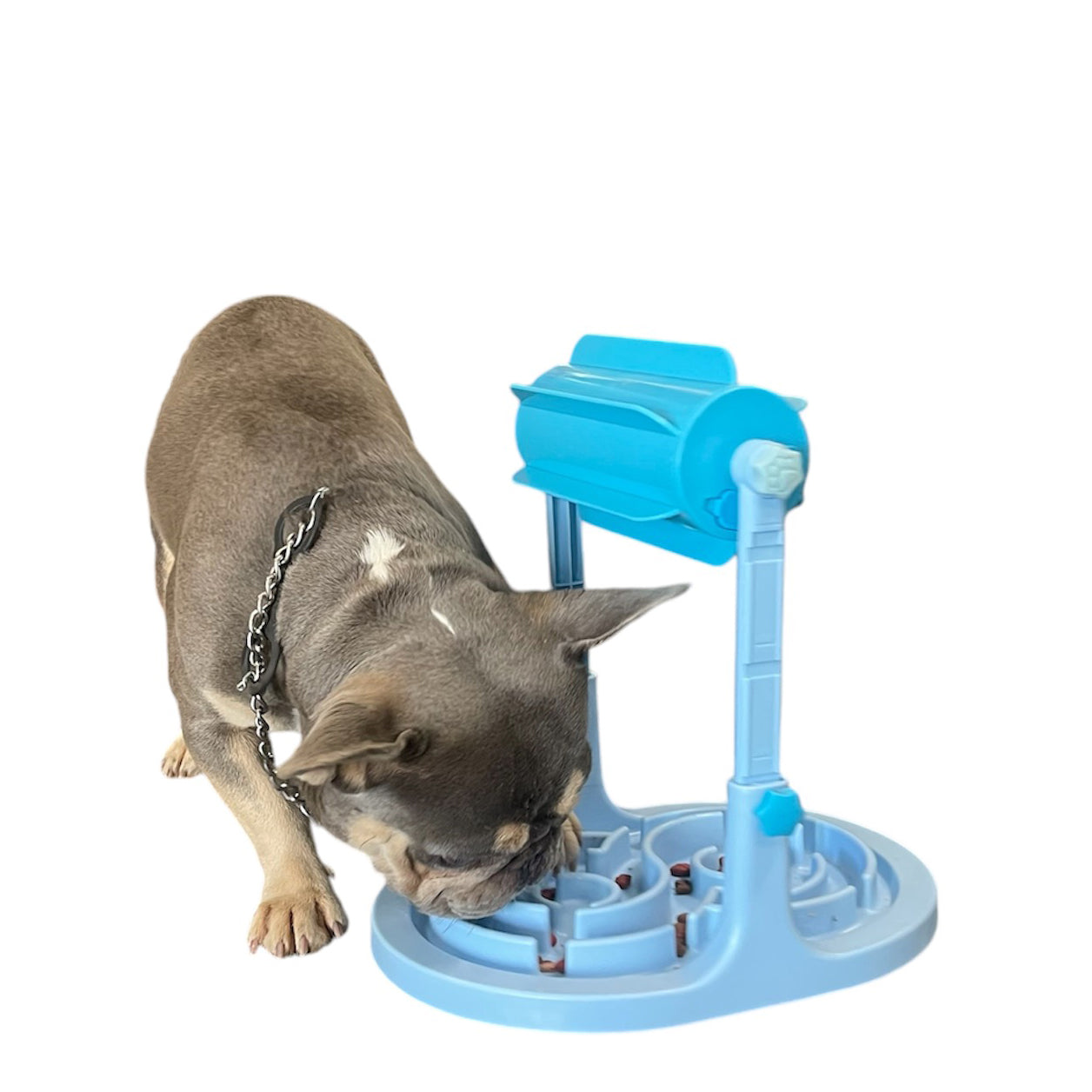 Multi dog feeder hotsell