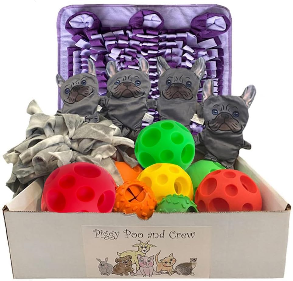 Dog toy 2024 gift box