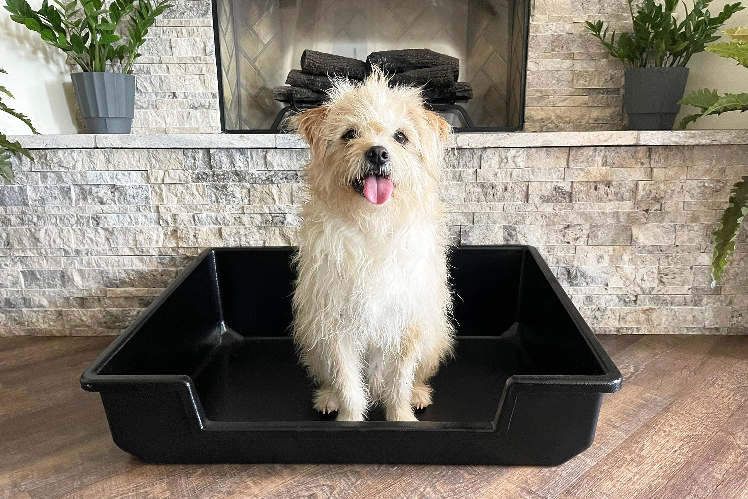 Extra large shop dog litter tray