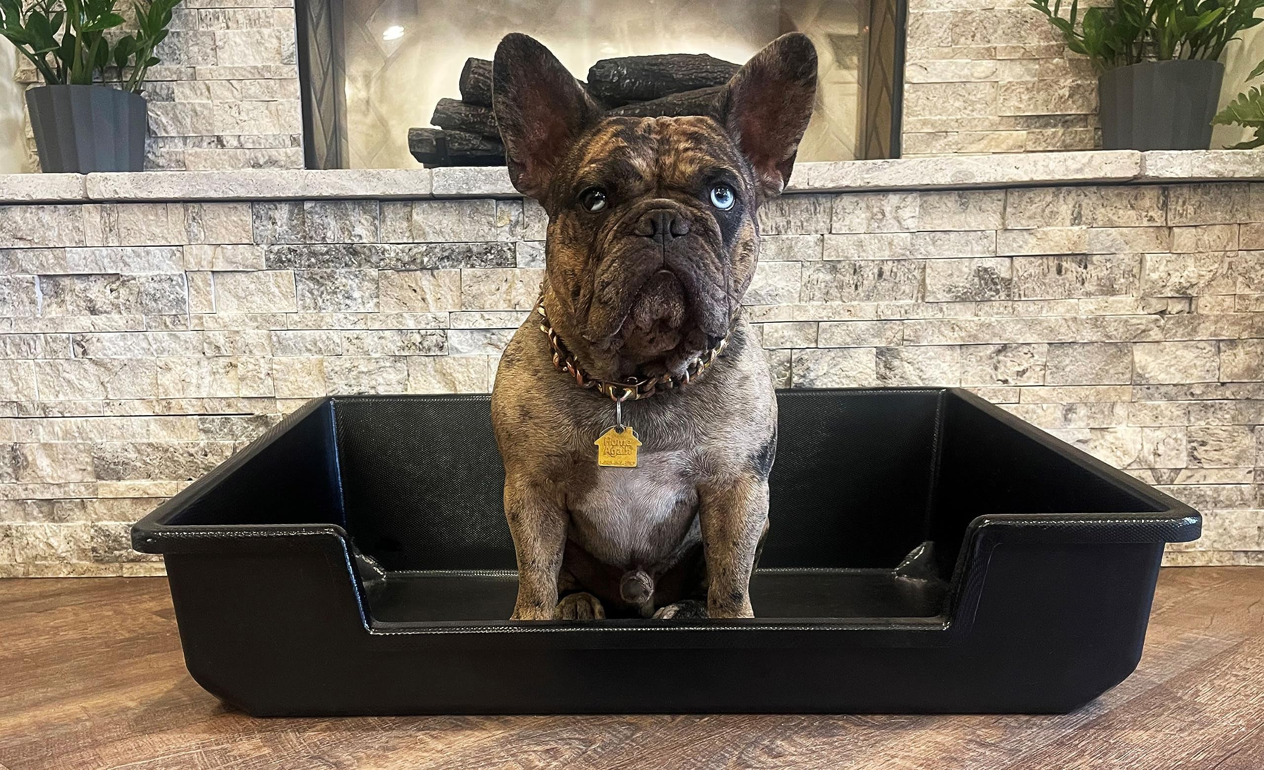 Extra large dog litter clearance tray