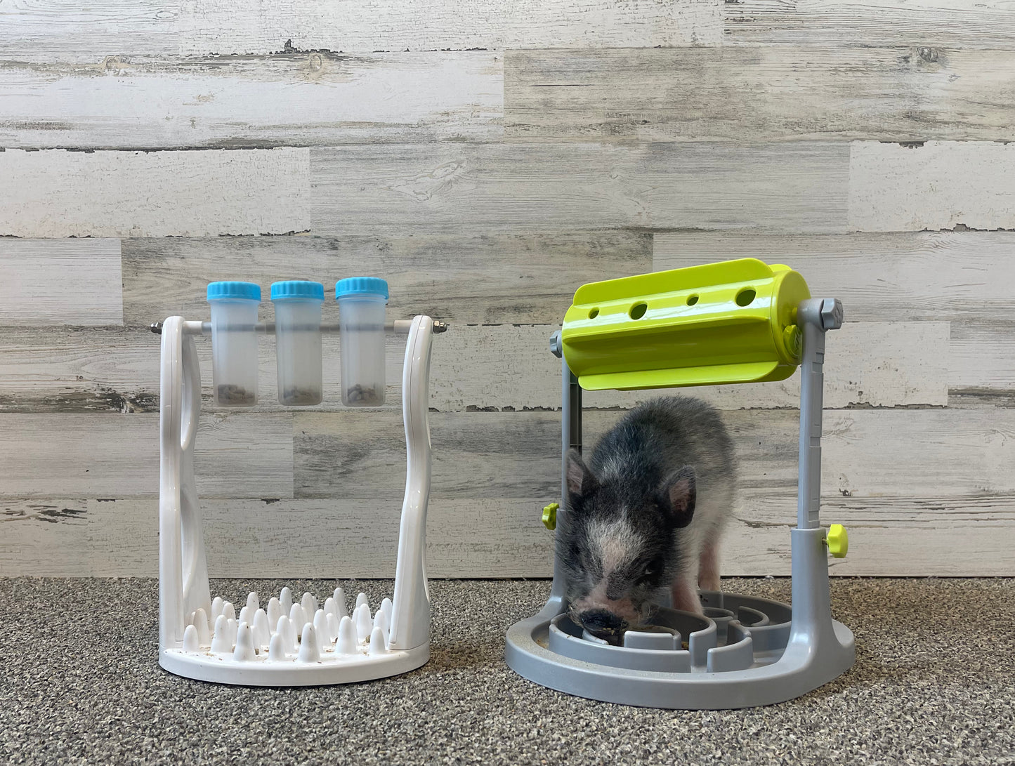 Piggy Poo and Crew Interactive Food Dispensing Slow Feeder Games for Mental Stimulation and Healthy Eating for Dogs, Pigs, Rabbits, Cats, and other Small Animals