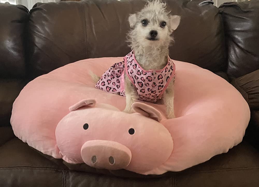 Donut dog bed outlet with sprinkles